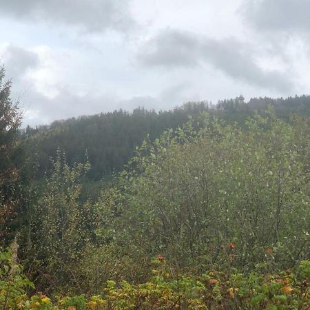 Fewo Berg Idyllika Willingen  Zewnętrze zdjęcie
