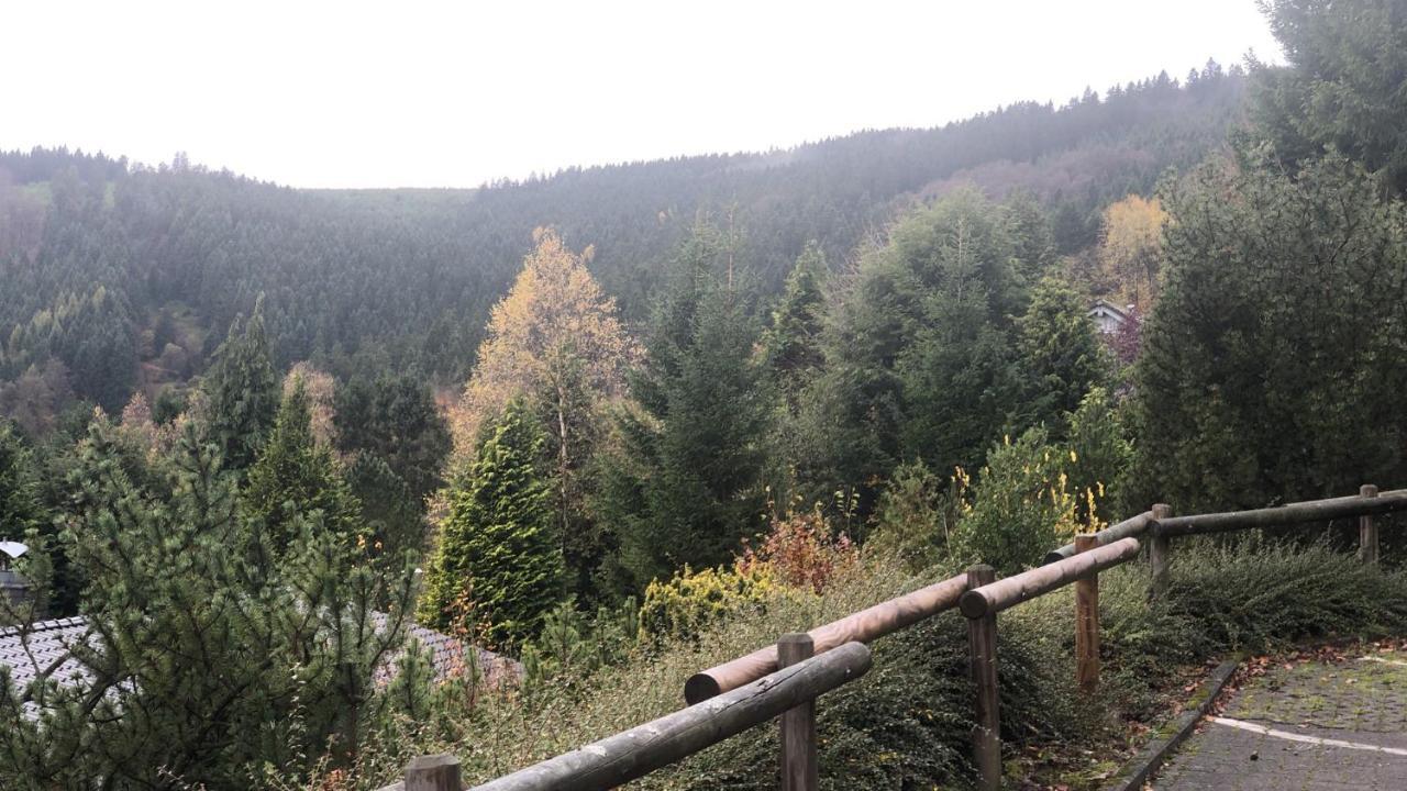 Fewo Berg Idyllika Willingen  Zewnętrze zdjęcie