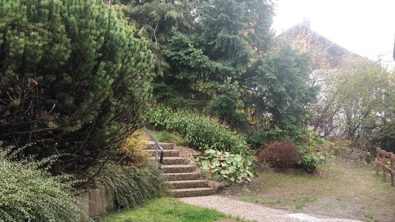 Fewo Berg Idyllika Willingen  Zewnętrze zdjęcie