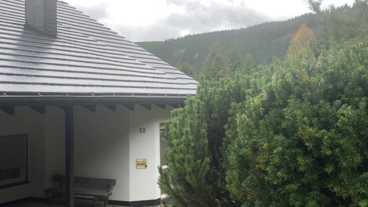 Fewo Berg Idyllika Willingen  Zewnętrze zdjęcie